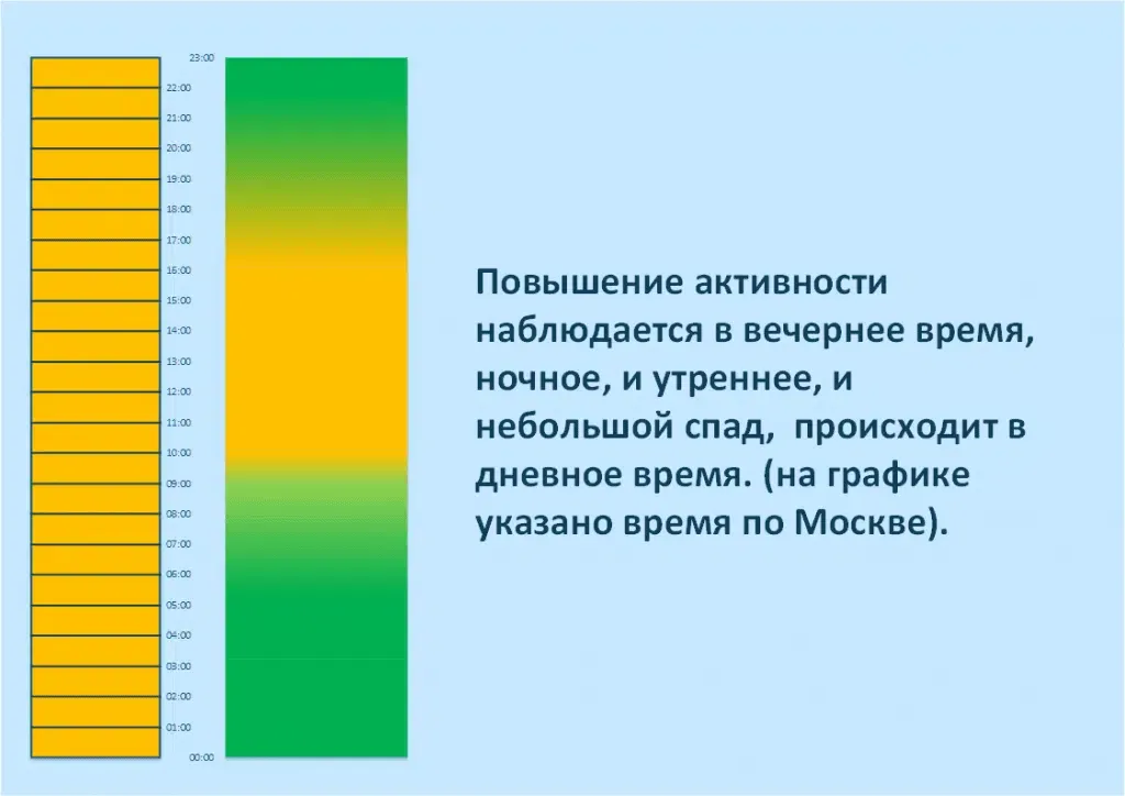 График работы на вебкам сайтах